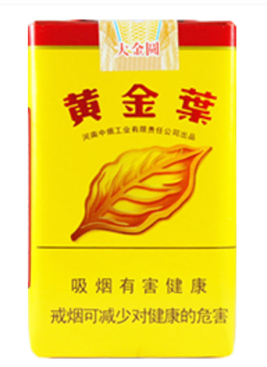 黄金叶（大金圆）